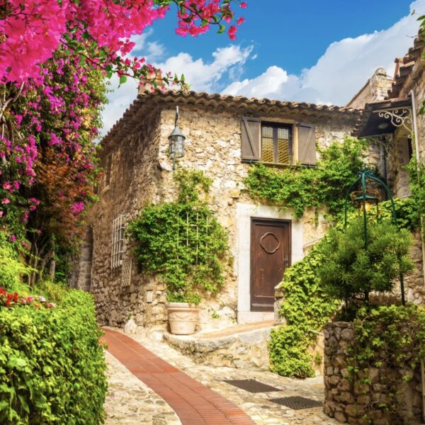 10.8 one day in Toledo private car service